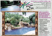 Tropical Paradise