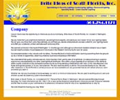 Brite Ideas of South Florida