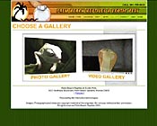 Reptile and Exotic Pet Store Website