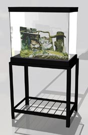 Tall Tank Set-up