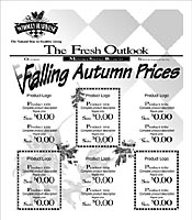 Wholly Harvest Newsletter Design.