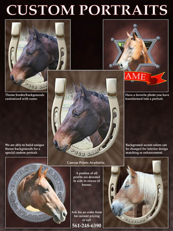 Equine Custom Portraits