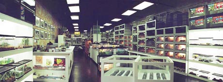 Store Panoramic View