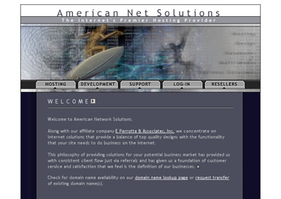 American Net Solutions website